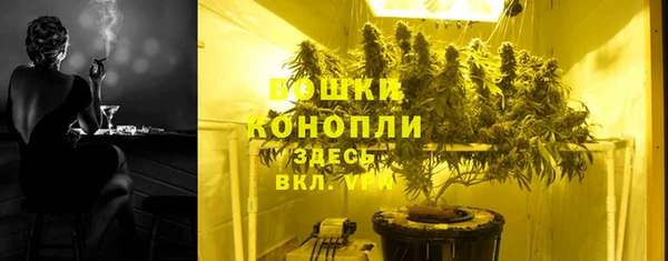 прущие грибы Богородицк