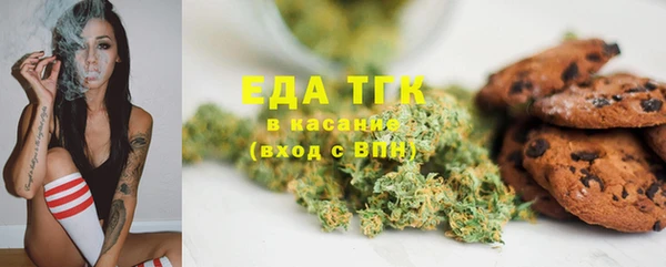 прущие грибы Богородицк