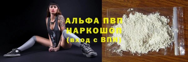 прущие грибы Богородицк