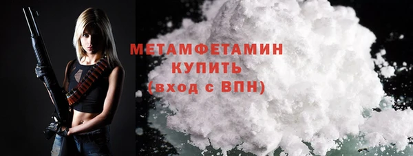 прущие грибы Богородицк