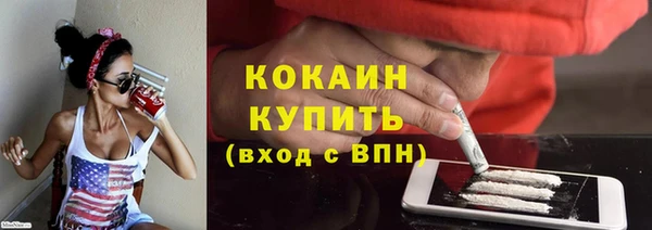 прущие грибы Богородицк