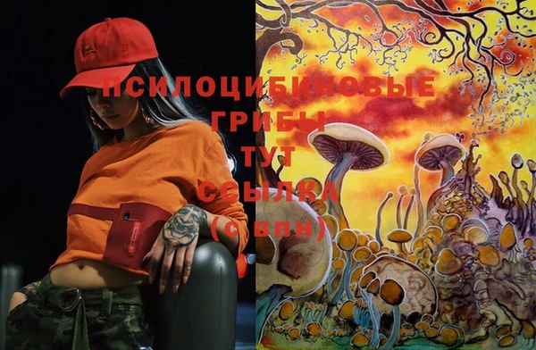 2c-b Семилуки