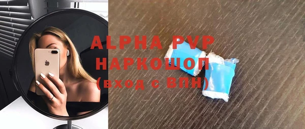 прущие грибы Богородицк